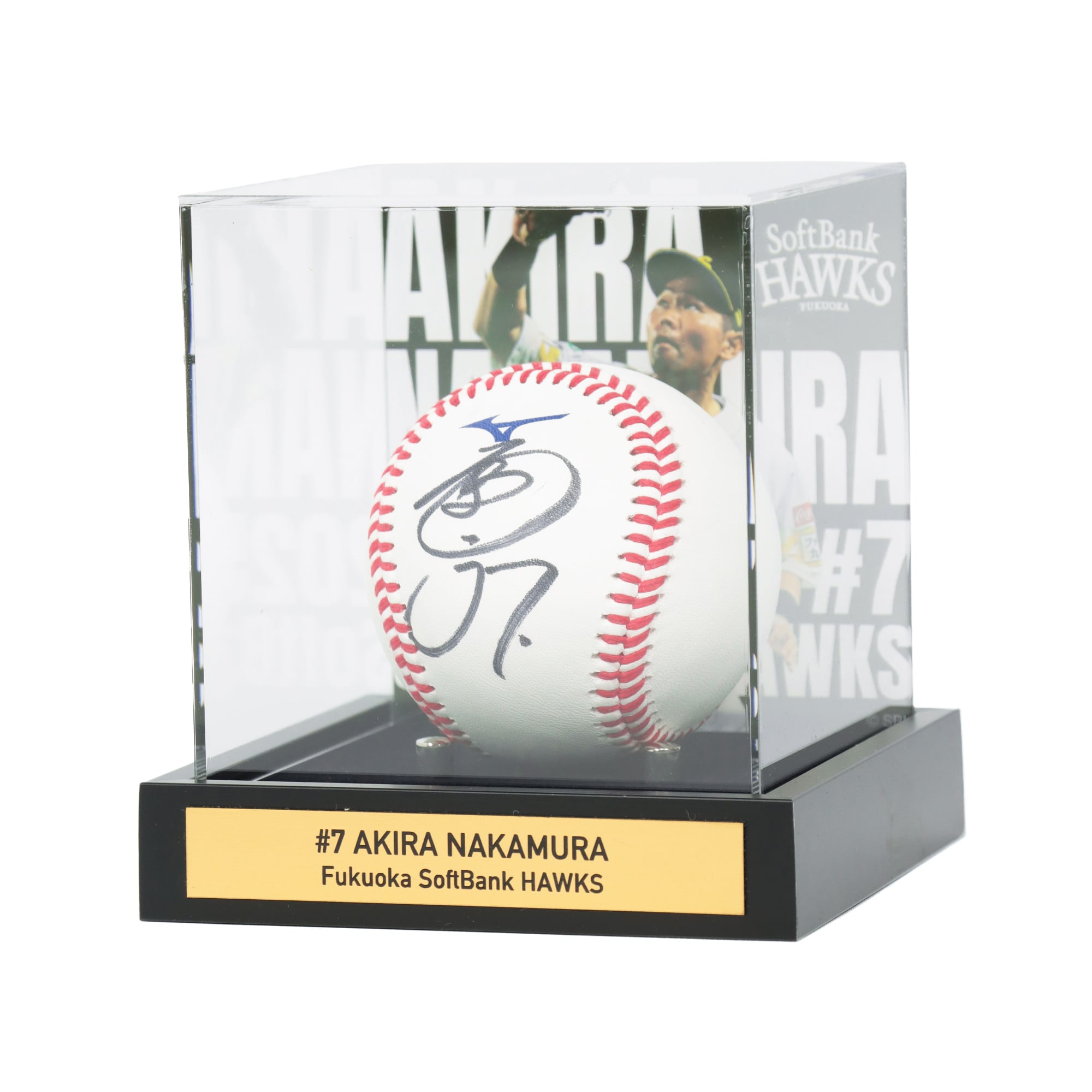 [limited-quantity]-2025- 